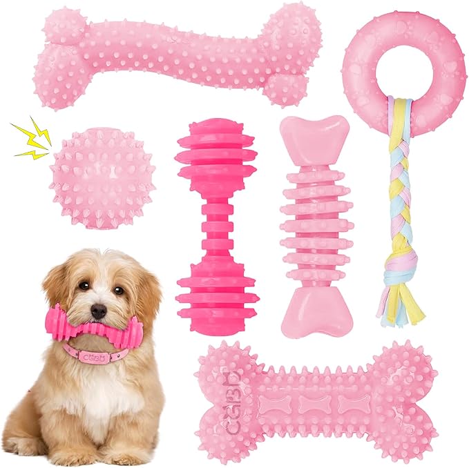 6 Pack Red Dog Chew Toys, Small Dog Teething Toys, Dental Health & Interactive Play